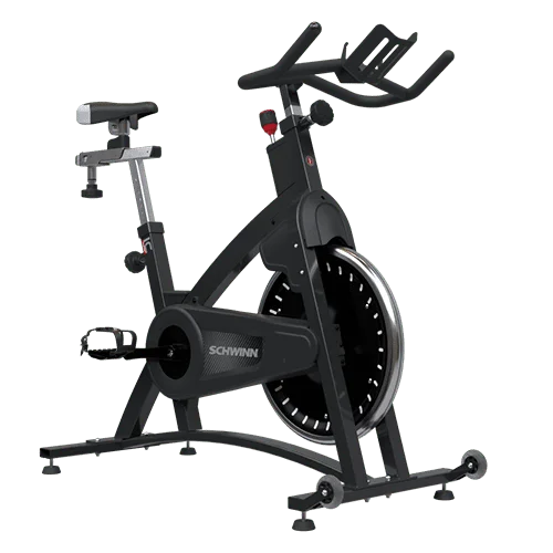 SCHWINN I.C. CLASSIC