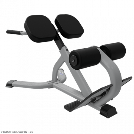 Nautilus Instinct 45°BACK EXTENSION